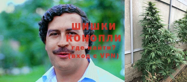 ПСИЛОЦИБИНОВЫЕ ГРИБЫ Армянск