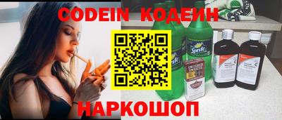 apvp Кингисепп
