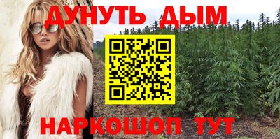 apvp Кингисепп