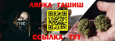 apvp Кингисепп