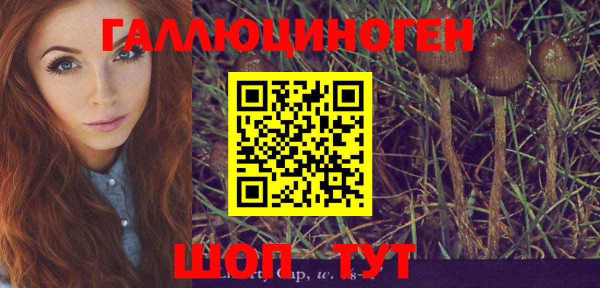 Галлюциногенные грибы MAGIC MUSHROOMS Рыбинск
